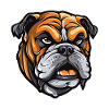 Bulldog Dog Head