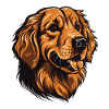 Golden Retriever Dog Head