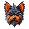 Yorkshire Terrier Hund Kopf