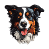 Border Collie Dog Head