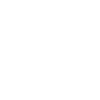 Flutist Definition