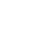 Bichon Frise with small paws