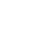 Boston Terrier with small paws