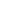 Havanese with small paws