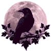 Raven in full moon light