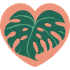 Heart Monstera Tropical Style