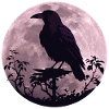 Raven in full moon light