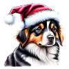 Australian Shepherd Christmas Dog Owner
