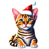 Bengalkatze Kätzchen Weihnachten Bengalkätzchen