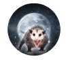 Opossum Moon Kids Cute