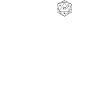 Playng Cat D20