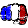France flag hand fist used
