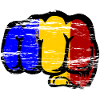 Romania Flag Hand Fist Used