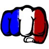 France Flag Hand Fist