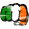 Ireland flag hand fist used