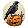 Halloween Raven Crow on Pumpkin
