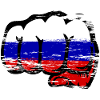 Russia Flag Hand Fist Used