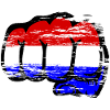 Holland Flag Hand Fist Used