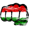 Hungary flag hand fist used