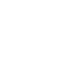 Fuchs / Fox / Kopf / Rotfuchs