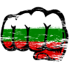 Bulgaria Flag Hand Fist Used