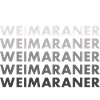 Weimaraner