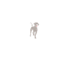 Heartbeat Weimaraner