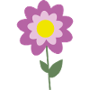 FlowerPink