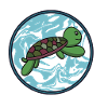 Tortoise