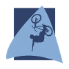 VTT Descente