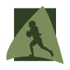 Gridiron Quarterback