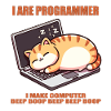 I are programmer, fat sleeping cat