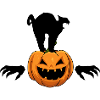 Halloween Black Cat Pumpkin Zombie