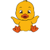 Funny Duck Cute Ducks