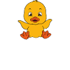Funny Duck Cute Ducks
