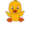 Funny Duck Cute Ducks