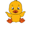 Canard drôle Canards mignons
