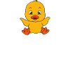 Funny Duck Cute Ducks