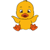 Canard drôle Canards mignons