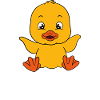 Funny Duck Cute Ducks