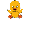 Funny Duck Cute Ducks