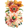 Blumenshirt