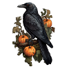 Raven on pumpkin bush Halloween