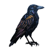Crow Halloween 3