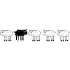 Black sheep