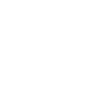 Squid Octopus