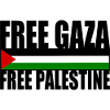 Free gaza free palestine