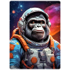 Gorille dans l’espace 1.3