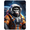Gorille dans l’espace 1.8