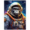Gorille dans l’espace 1.2